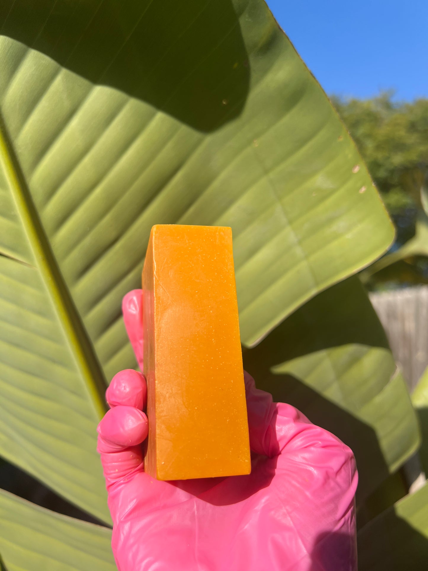 TURMERIC BAR