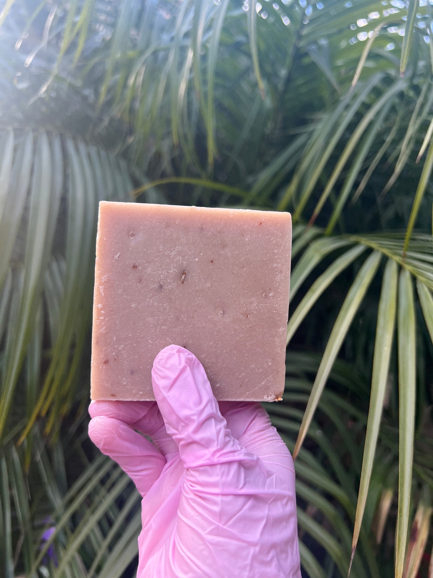 Honey + Oatmeal milk bar soap face\full body usage