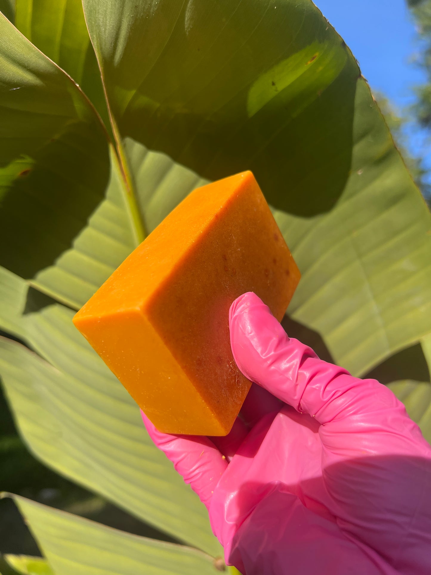 TURMERIC BAR