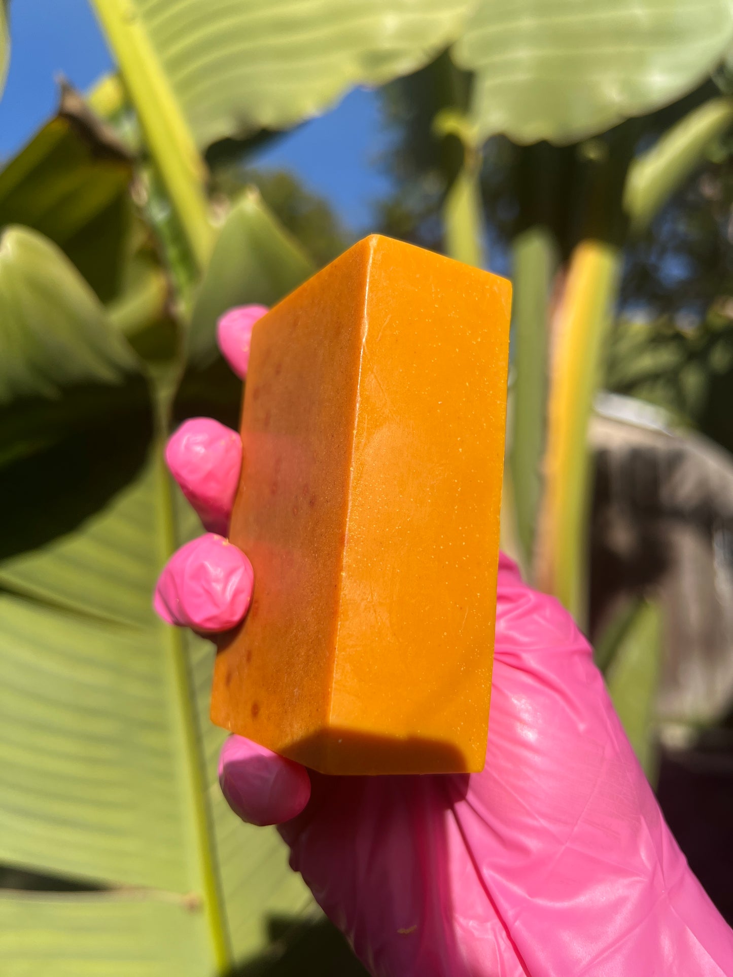 TURMERIC BAR