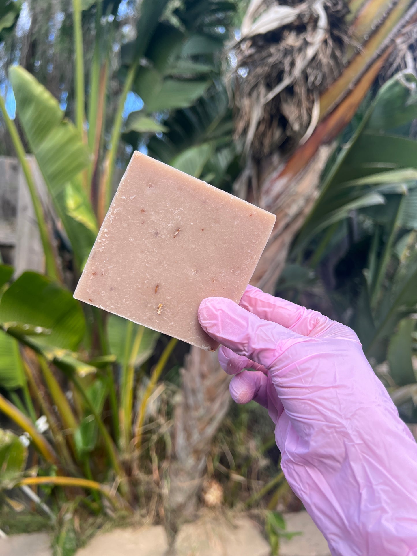 Honey + Oatmeal milk bar soap face\full body usage