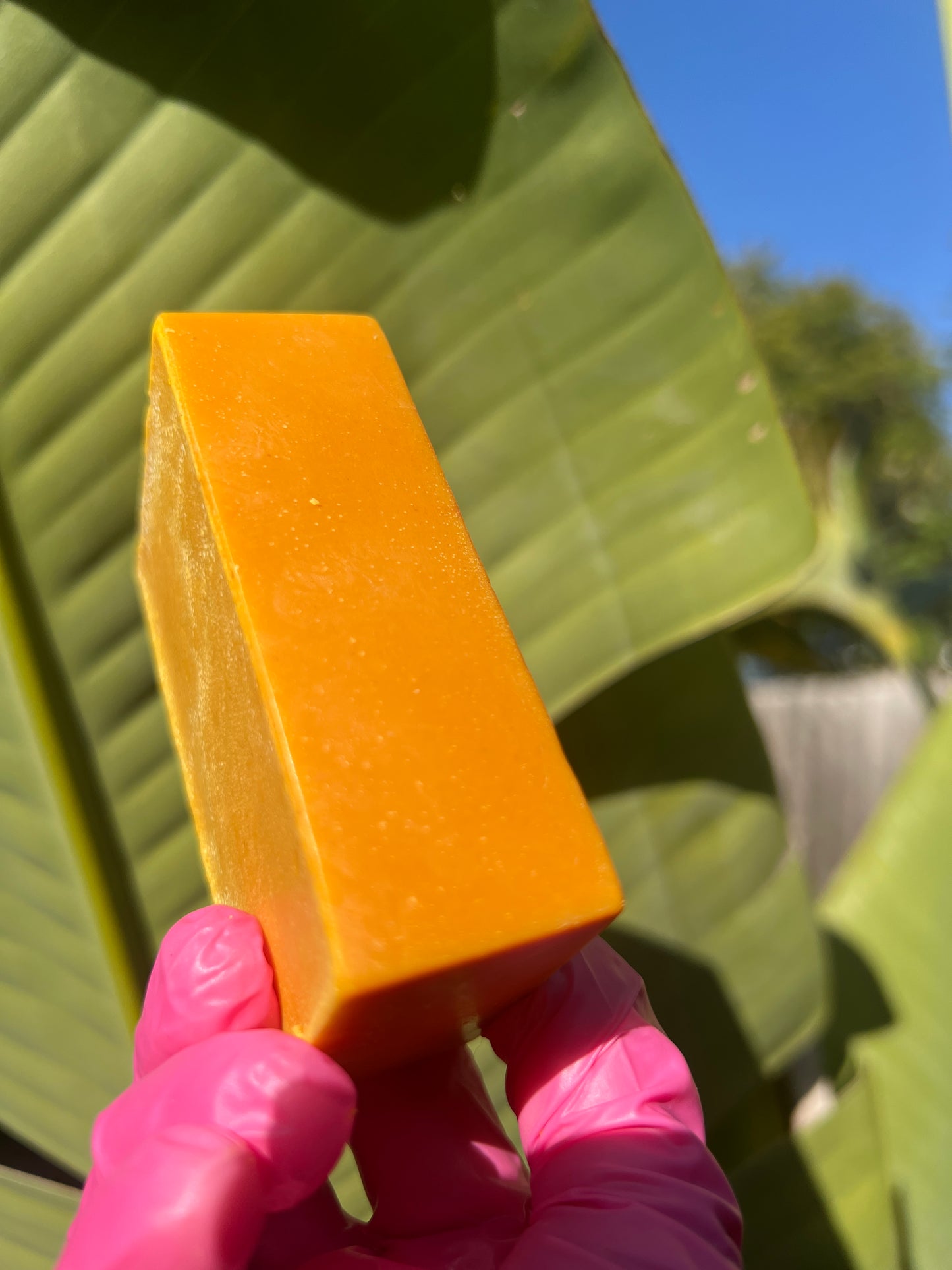 TURMERIC BAR