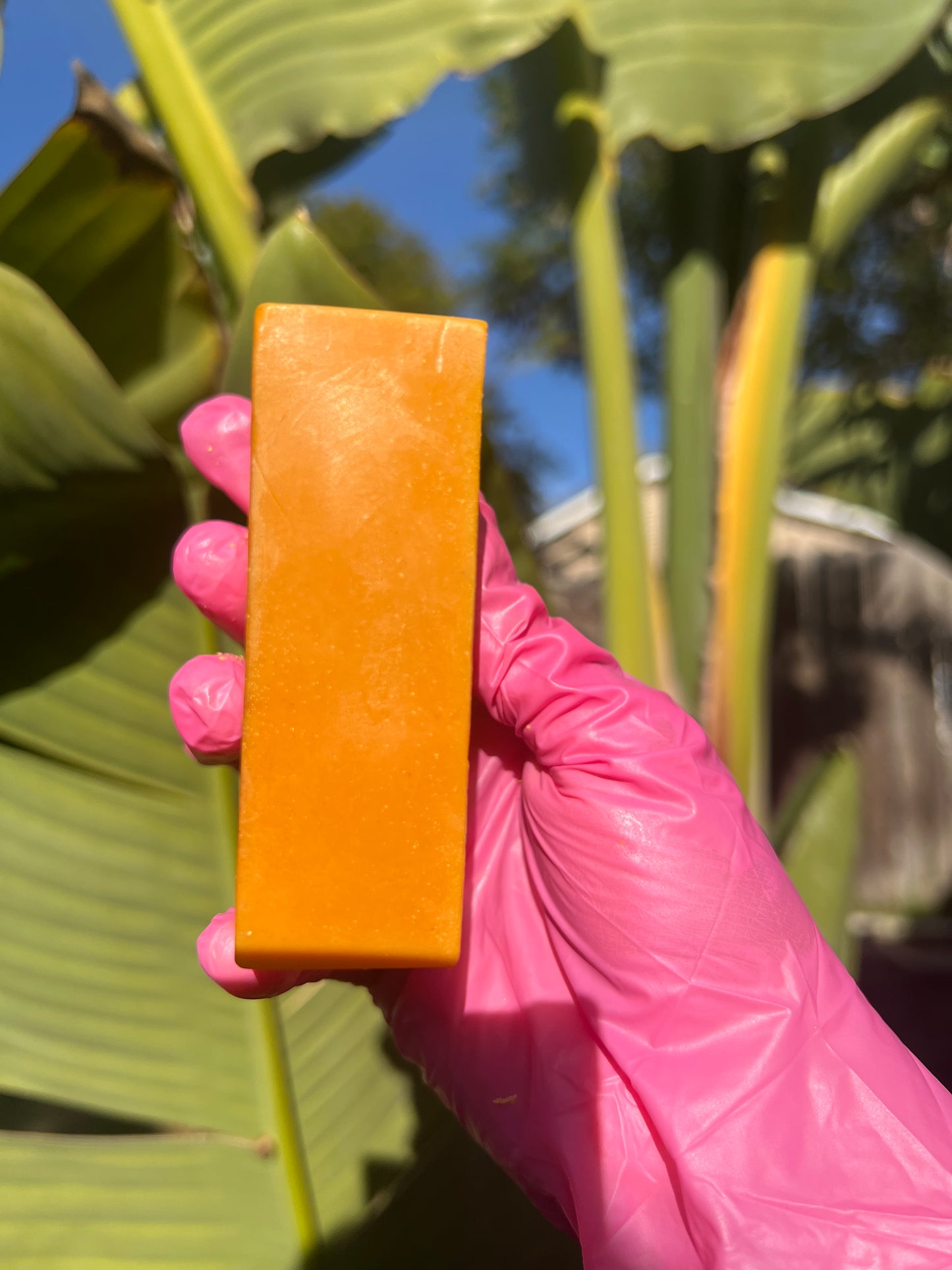 TURMERIC BAR