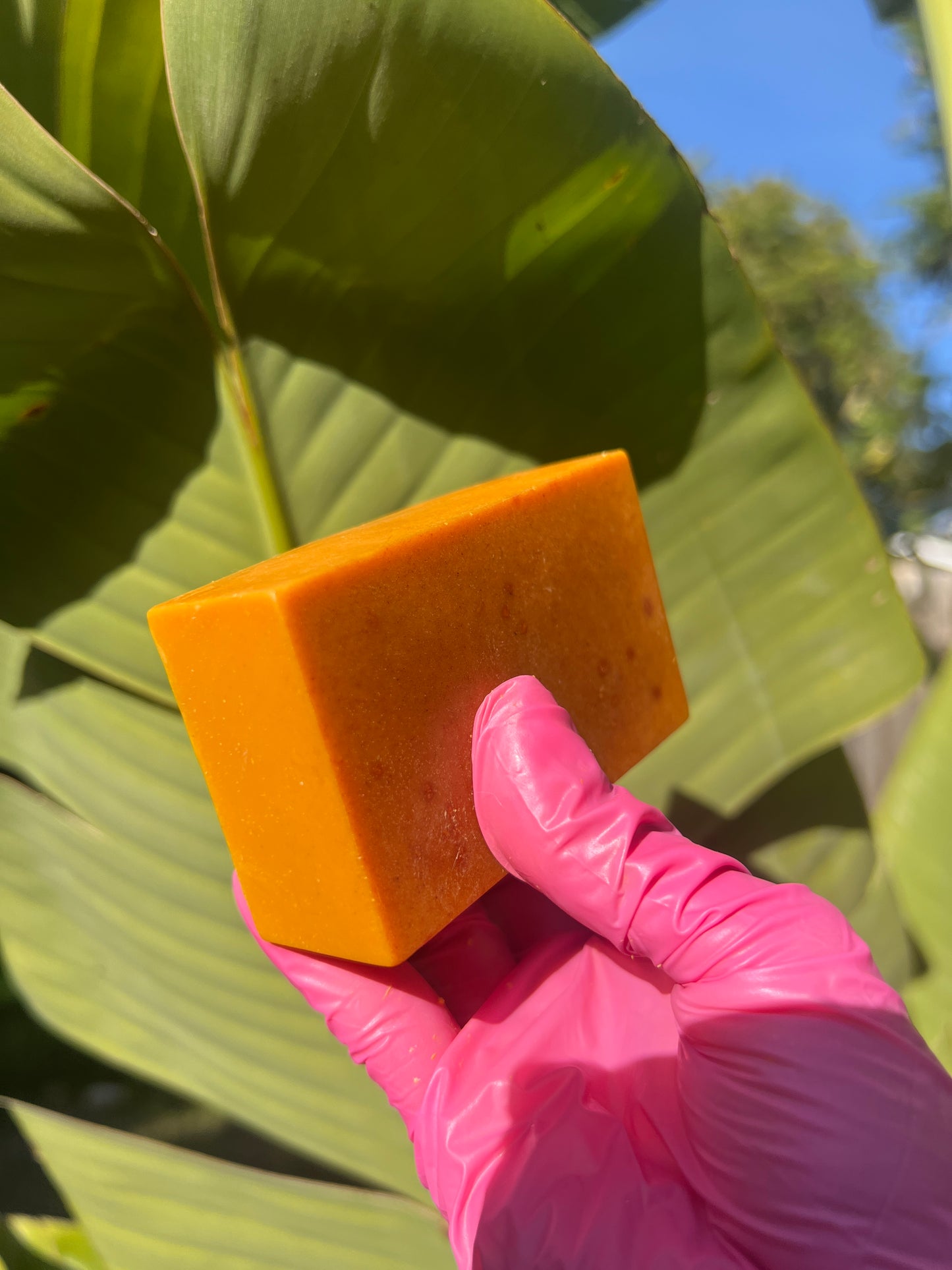 TURMERIC BAR