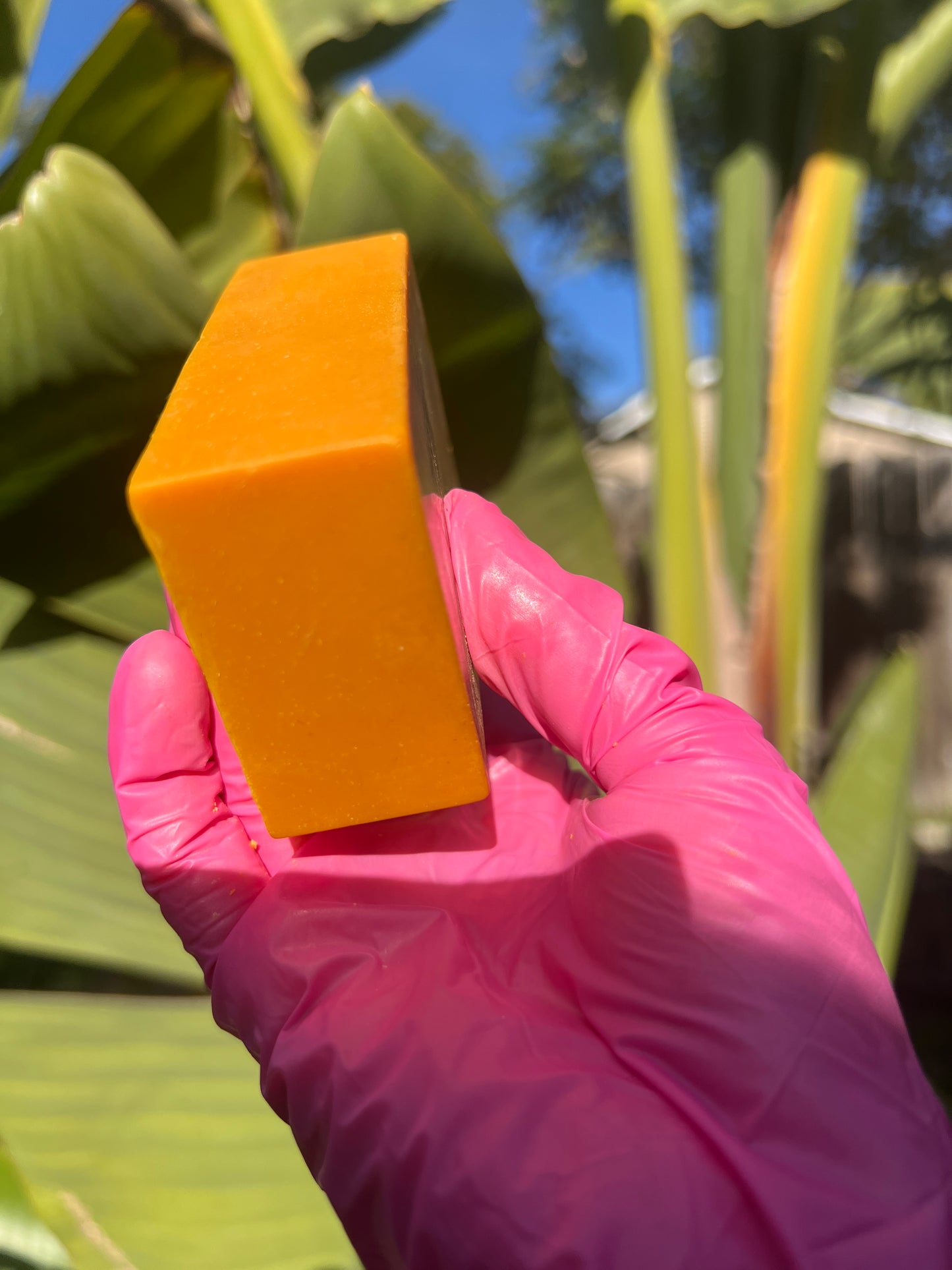 TURMERIC BAR